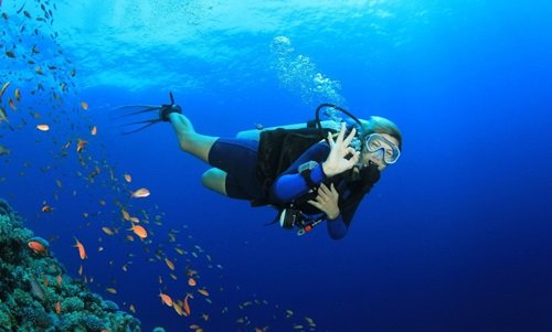 Scuba Packages